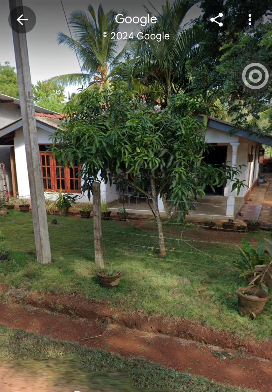 Pethum Holiday Home Anuradhapura Kültér fotó